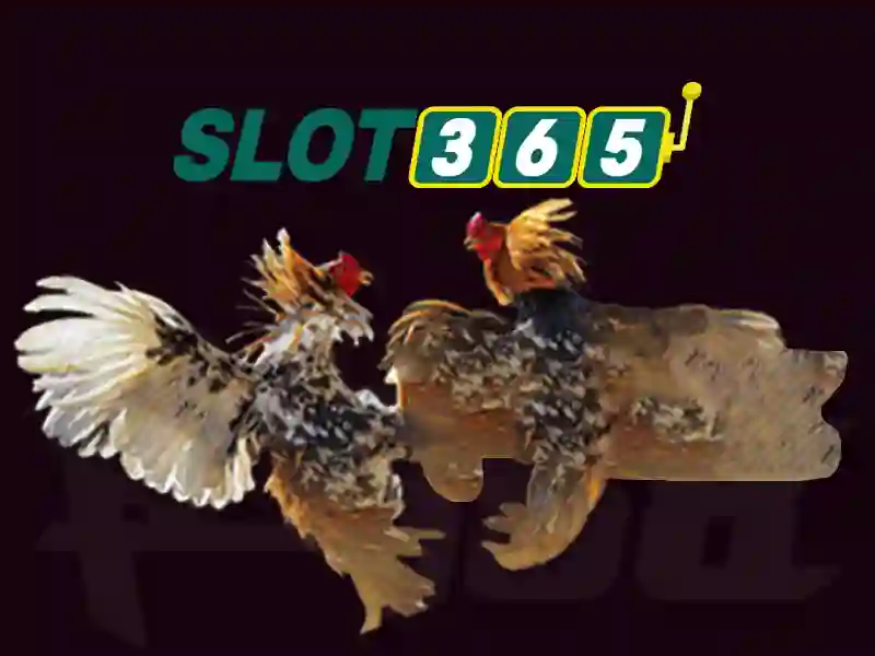 Sanh ca cuoc Esport soi dong tai slot365